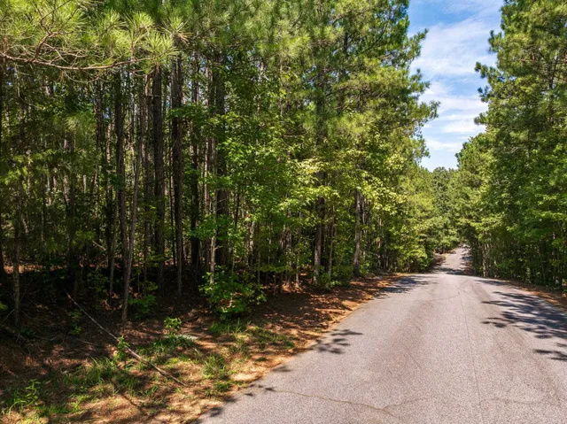 $99,000 | 0 Hidden Springs Way, Cross Hill, SC 29332