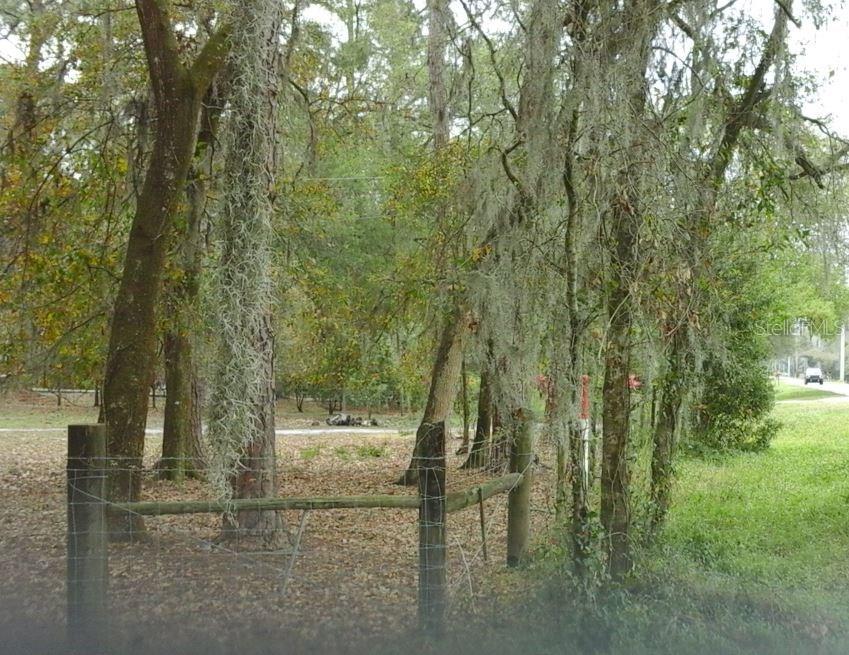Sam Allen Road Plant City, FL 33565 - Photo 1 of 1 View looking west along Sam Allen