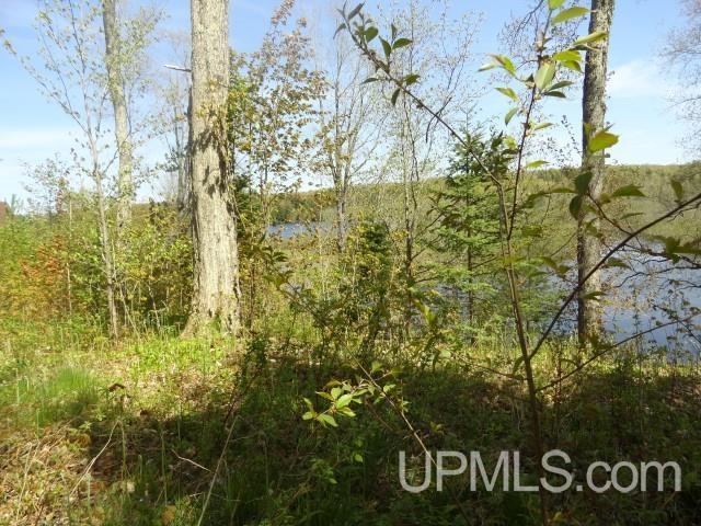 Tbd Autrain Forest Lake Road Au Train, MI 49806 - Photo 11 of 12