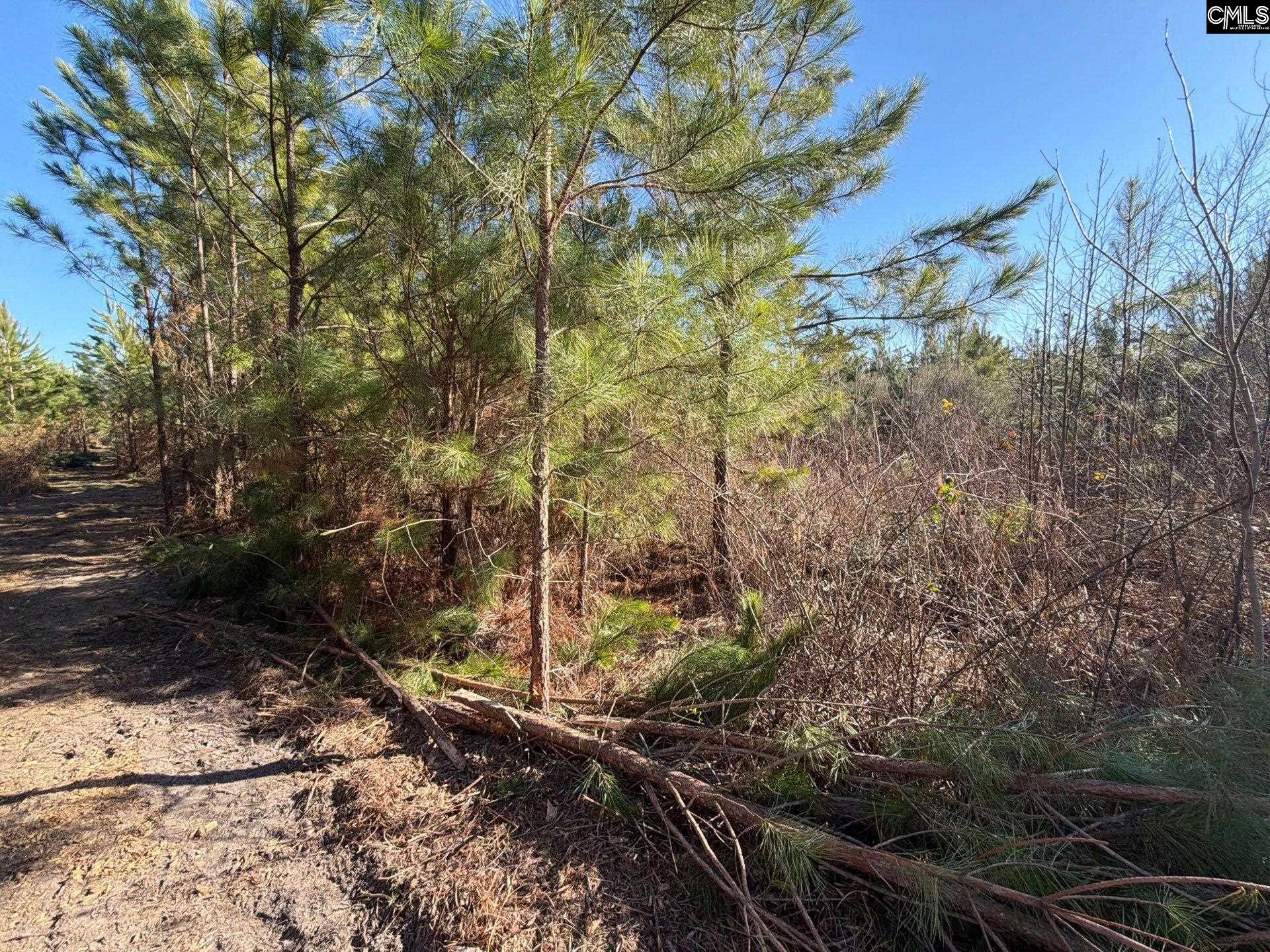 8 Brunson Teal Road, Unit BFF II 8 Patrick, SC 29584 - Photo 16 of 25