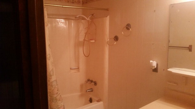 189 Bennetts Bridge Road Mount Olive, NC 28365 - Photo 6 of 8 Bathroom