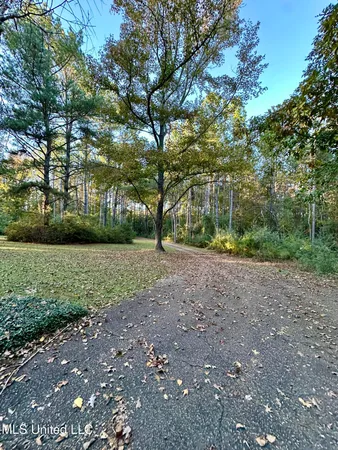 $425,000 | 120 Memory Lane, Magee, MS 39111