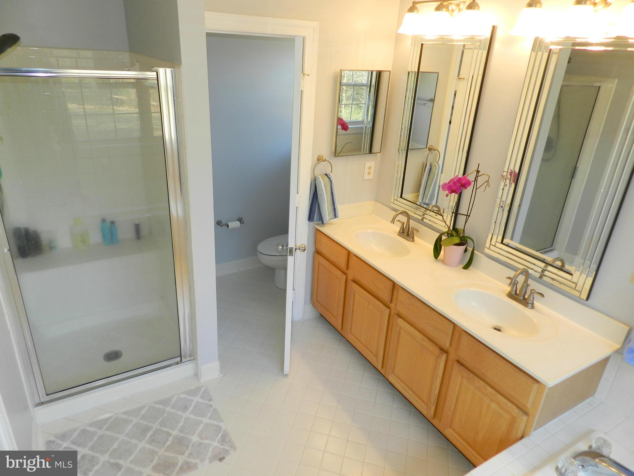 14929 Mount Nebo Road Poolesville, MD 20837 - Photo 19 of 28 Bath (Master)