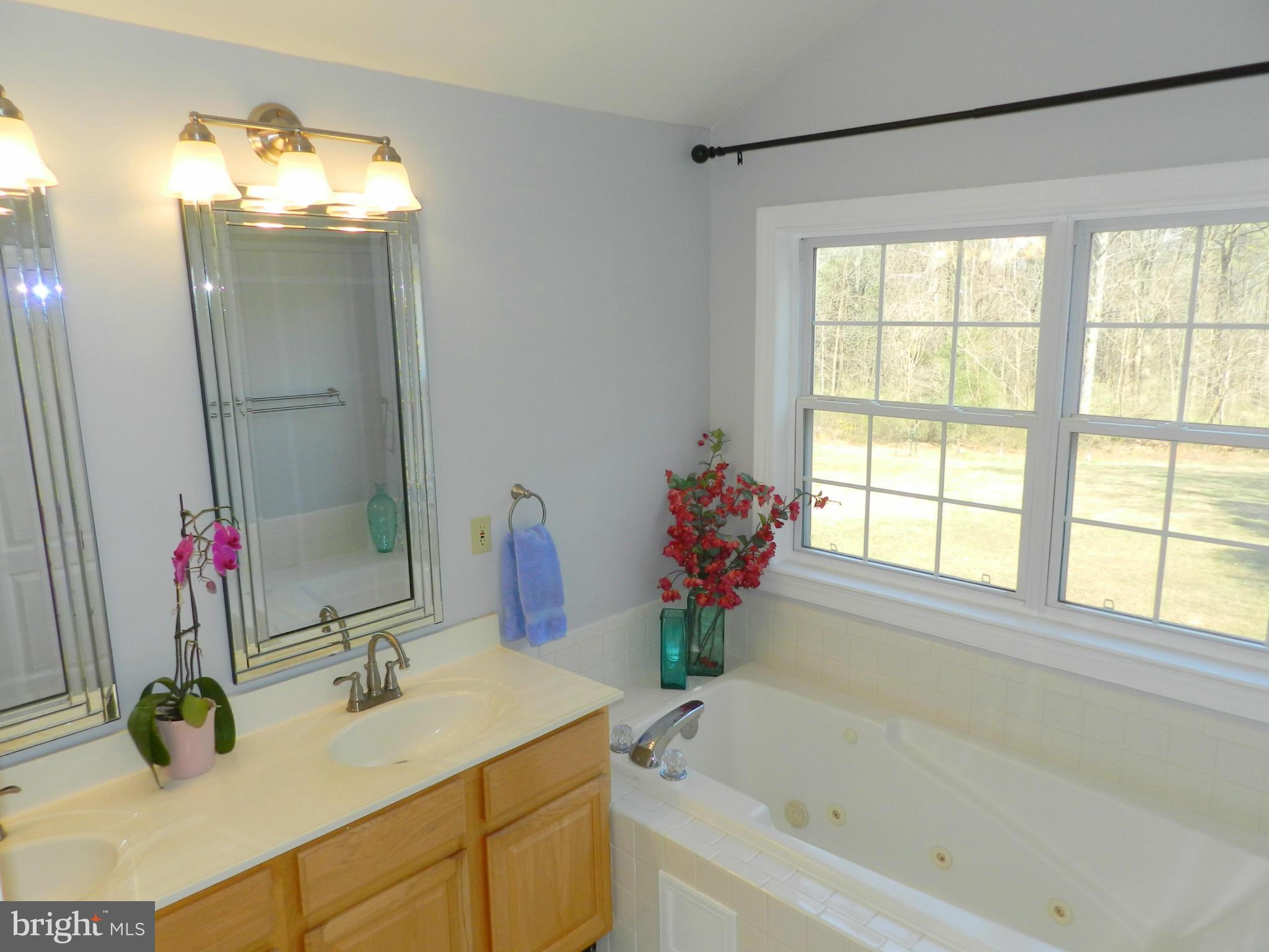 14929 Mount Nebo Road Poolesville, MD 20837 - Photo 20 of 28 Bath (Master)
