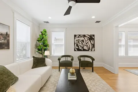 a living room with furniture and a potted plant