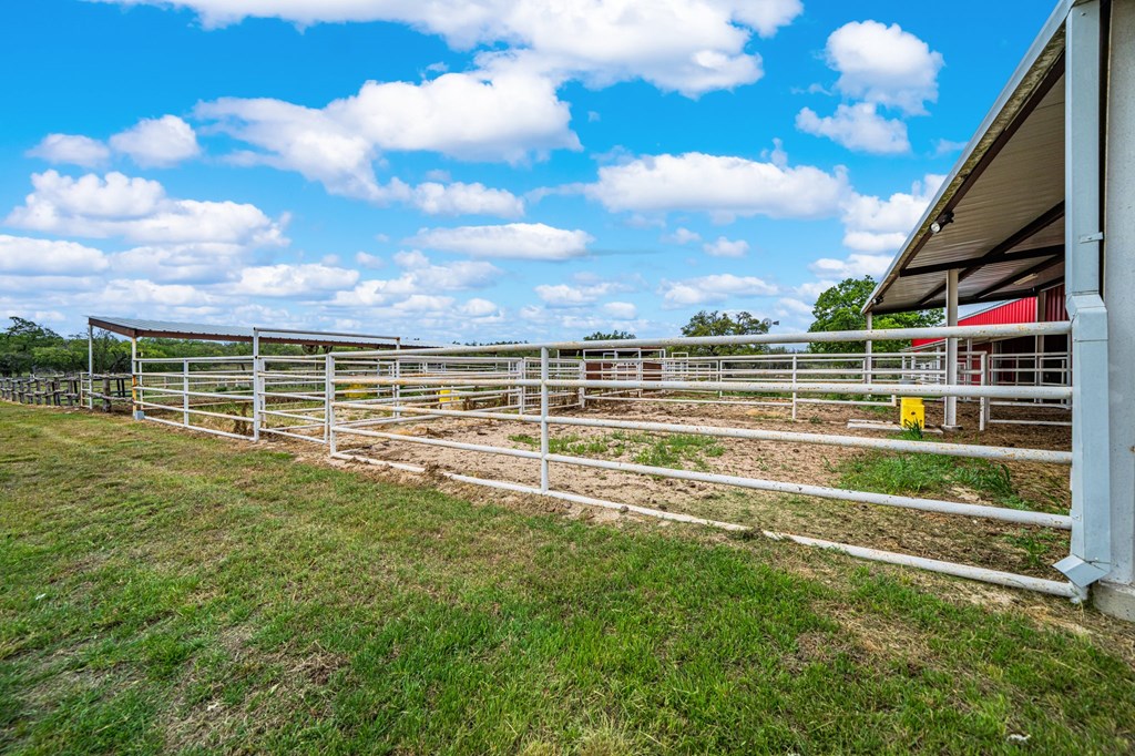 1379 Barker Rogers Road Harper, TX 78631 - Photo 17 of 32