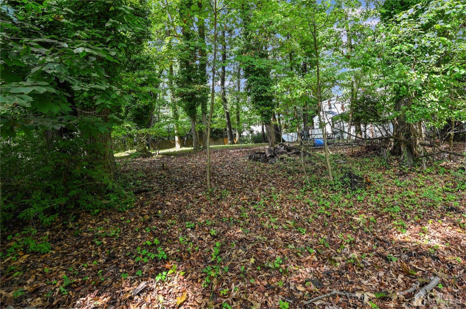 50 Clive Hills Road Edison, NJ 08820 - Photo 31 of 32 a view of a forest with trees in the background