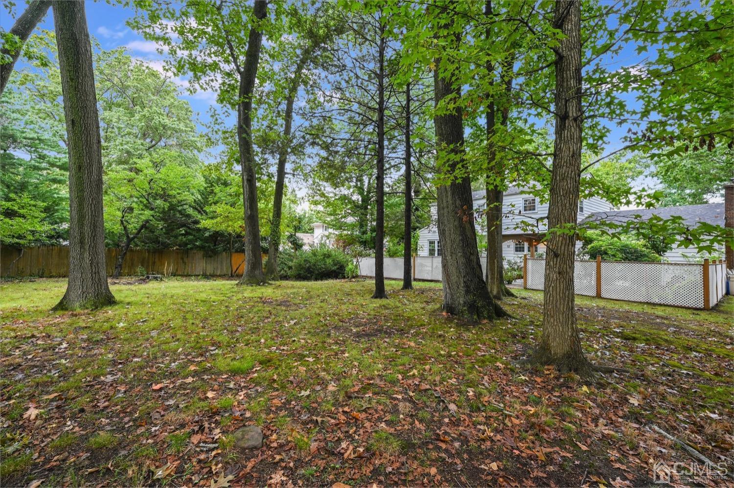 50 Clive Hills Road Edison, NJ 08820 - Photo 32 of 32 a backyard of a house with lots of green space