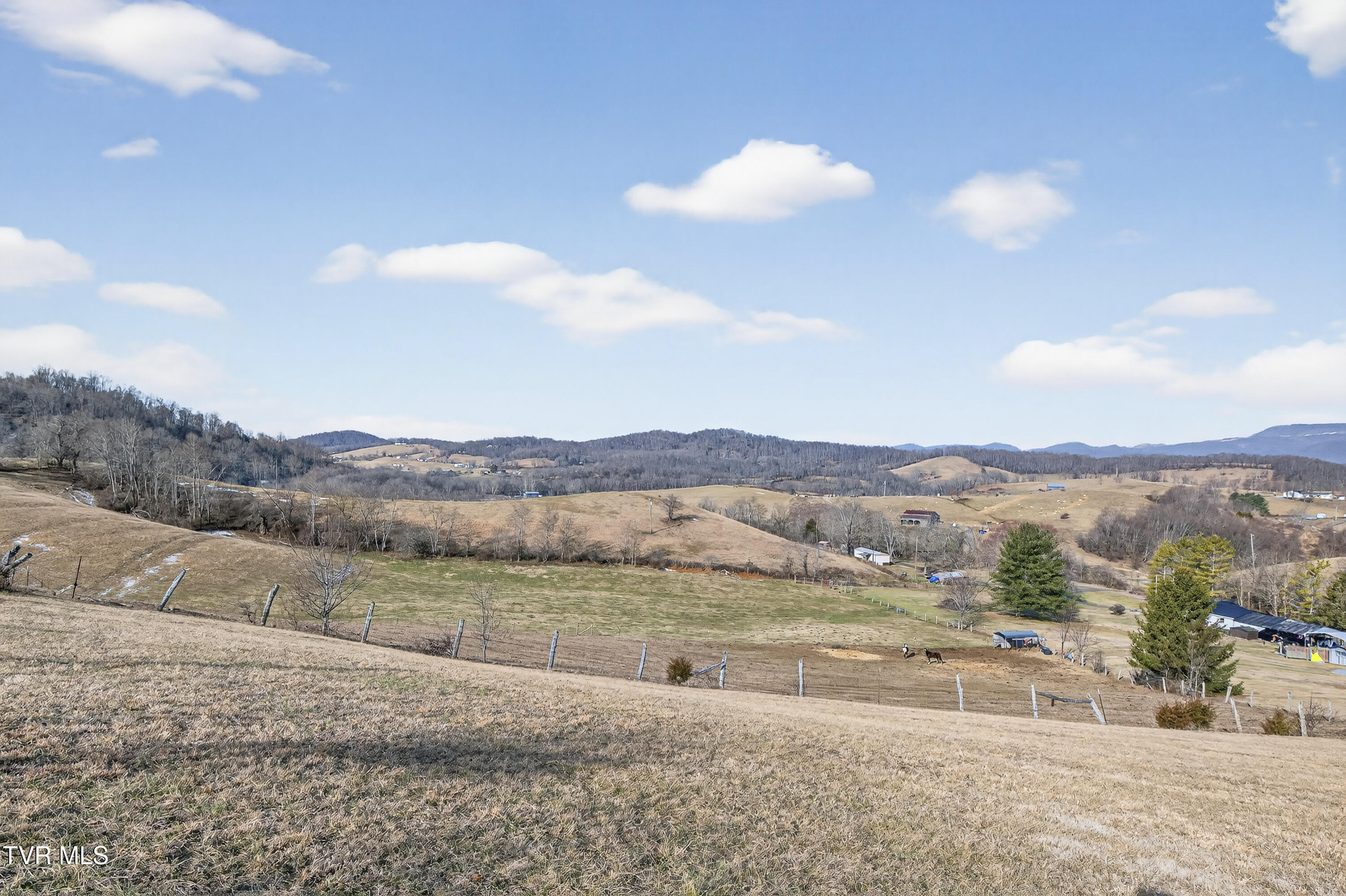 32383 Raccoon Trail Meadowview, VA 24361 - Photo 3 of 63 32383-Raccoon-Trail-6