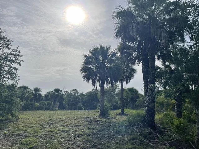 a view of a field with trees in the background