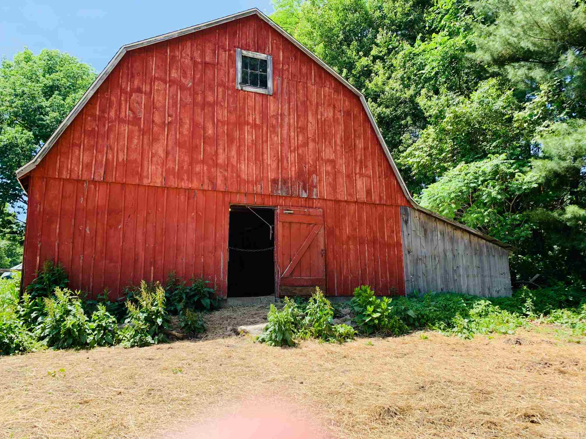 132 Windham Road Derry, NH 03038 - Photo 3 of 15