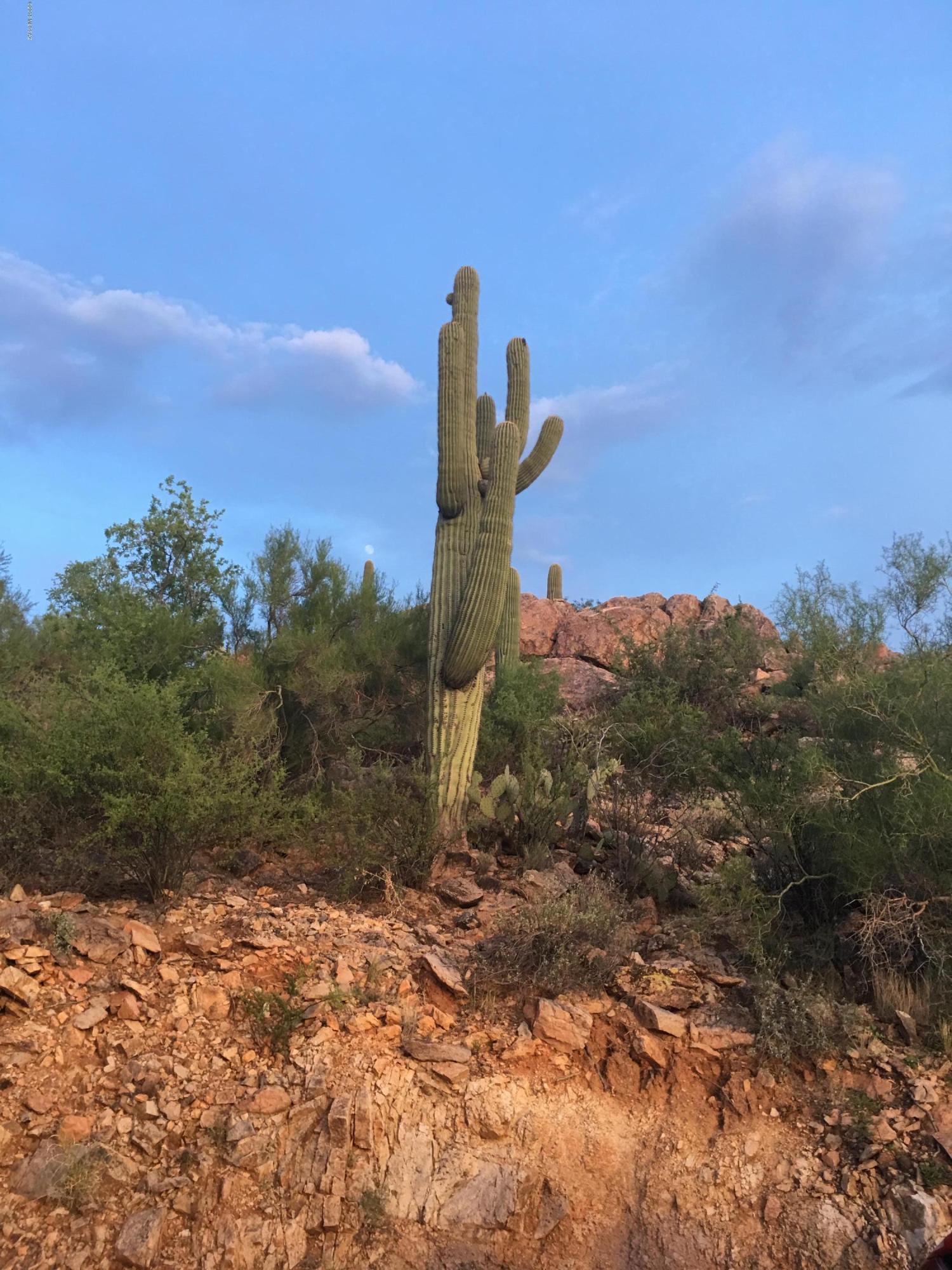6590 North Van Ark Road Tucson, AZ 85743 - Photo 6 of 44 Gallery Image 6