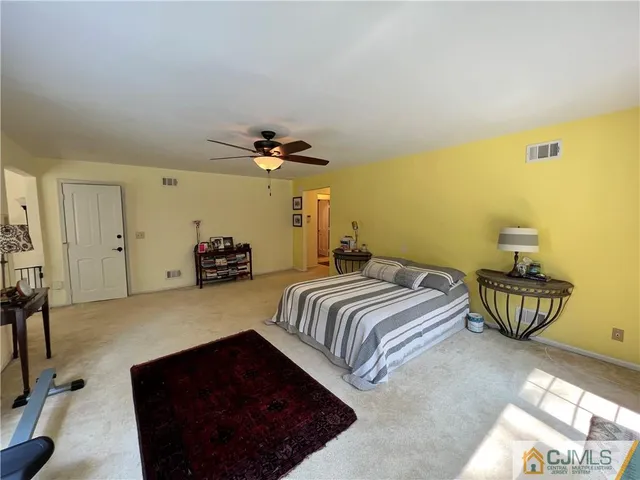 a view of a park with large trees