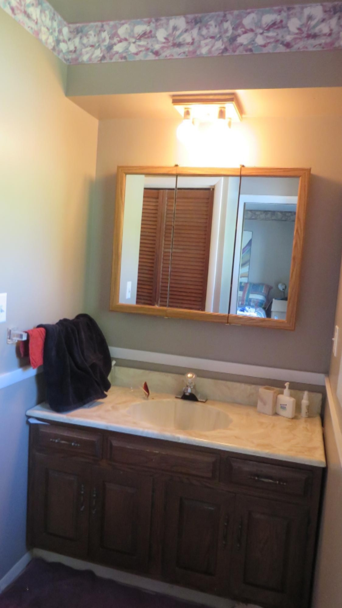5625 Alpine Ridge Stevensville, MI 49127 - Photo 20 of 28 IMG_1483