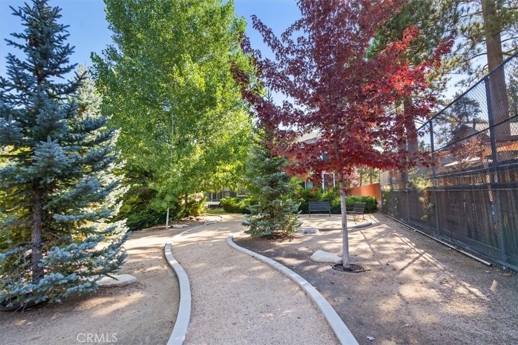 760 Blue Jay Road, Unit 48 Big Bear Lake, CA 92315 - Photo 2 of 31 a park view with a tree