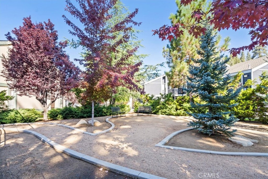 760 Blue Jay Road, Unit 48 Big Bear Lake, CA 92315 - Photo 3 of 31 a view of a backyard