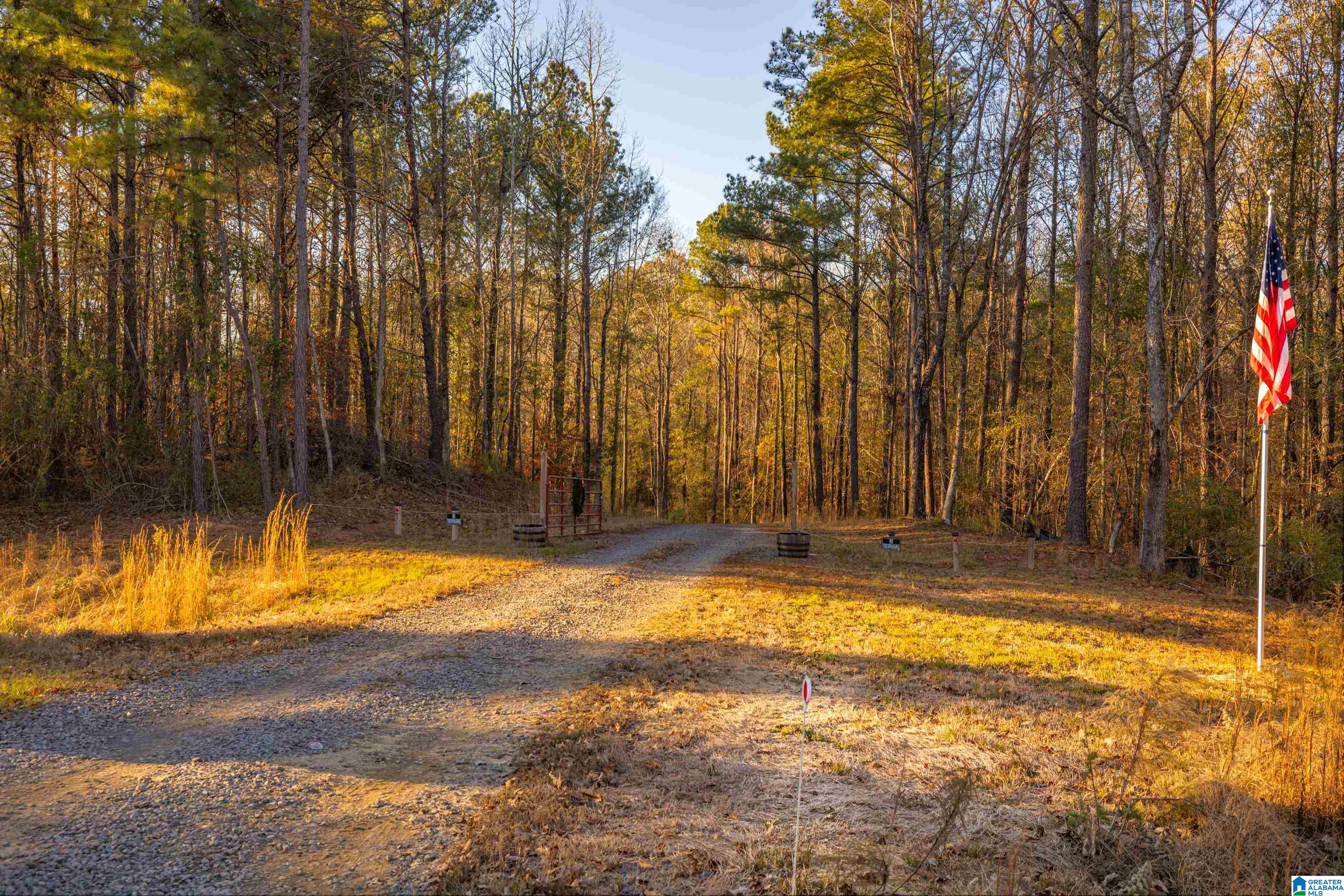 191 Warrior River Highlands Road Adger, AL 35006 - Photo 56 of 81