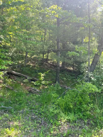 $43,000 | Lake John Road, Lakewood, WI 54138