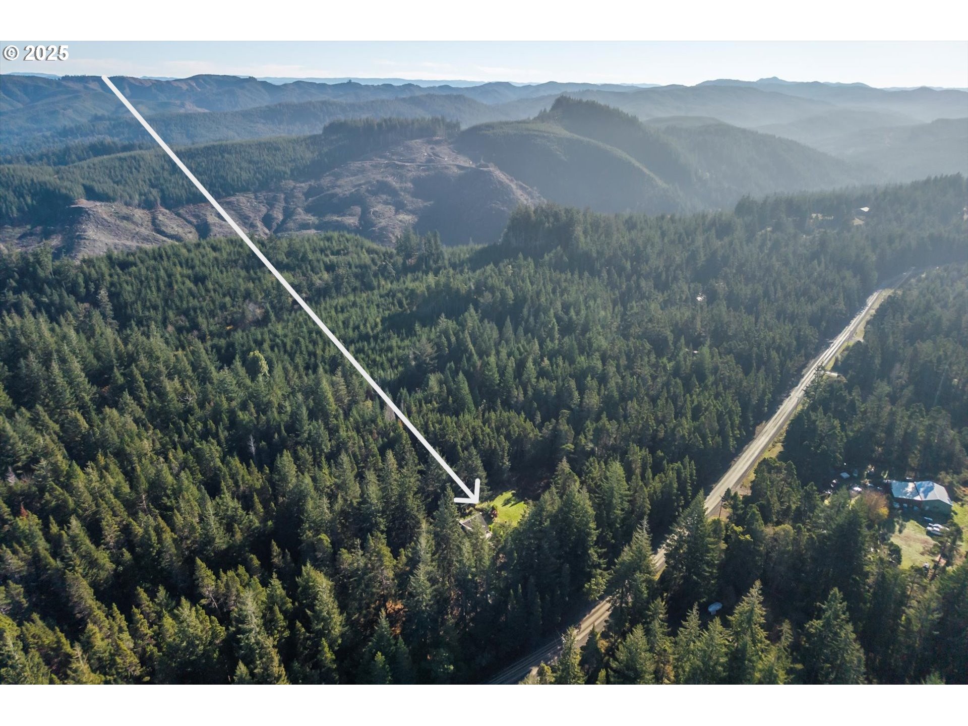 54177 Morrison Road Bandon, OR 97411 - Photo 36 of 47 a view of a forest with a mountain