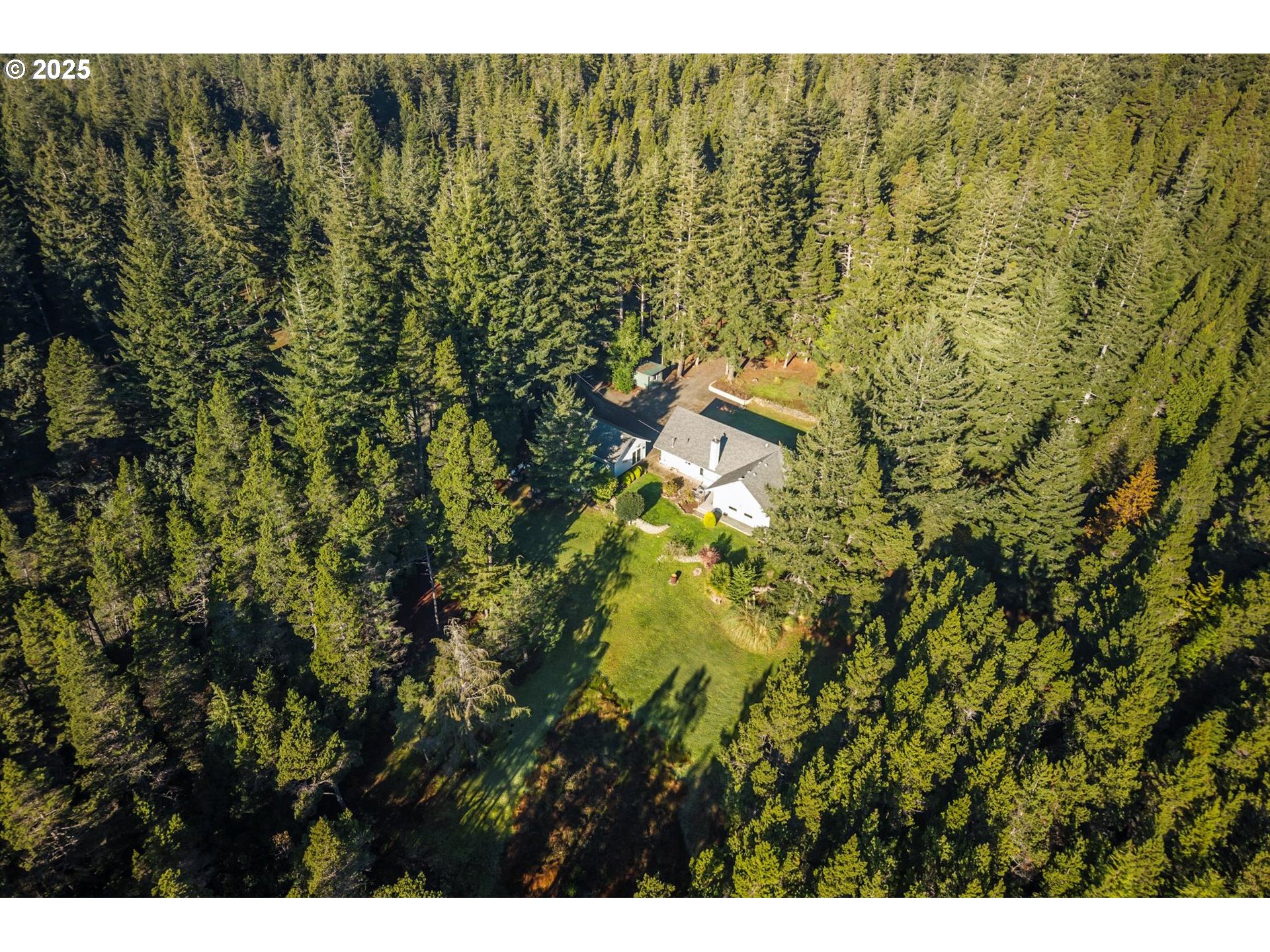 54177 Morrison Road Bandon, OR 97411 - Photo 37 of 47 a view of a bunch of trees and bushes