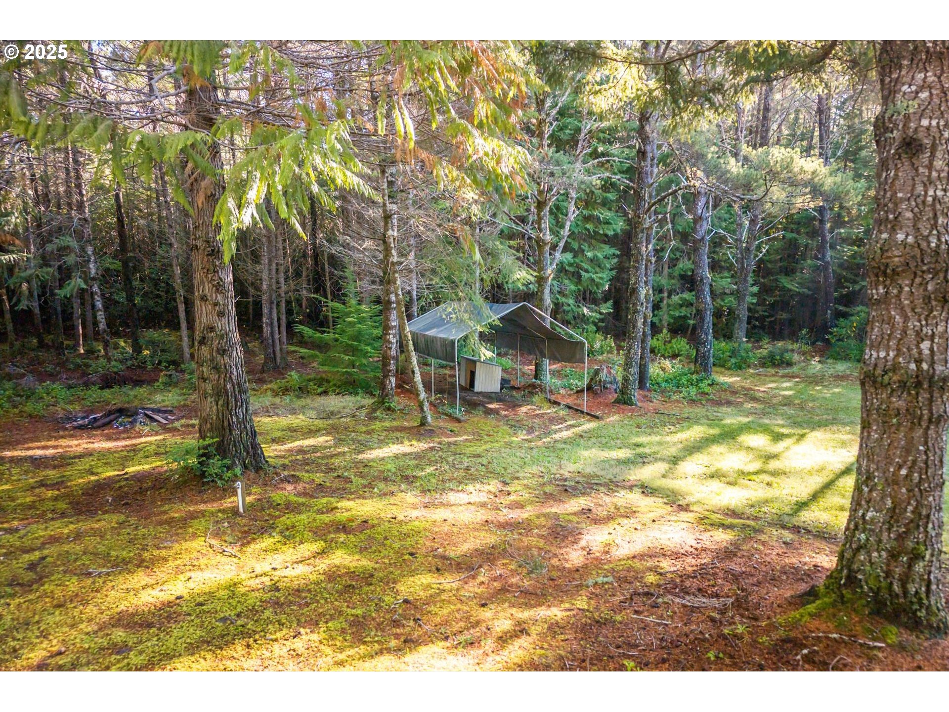 54177 Morrison Road Bandon, OR 97411 - Photo 40 of 47 a view of swimming pool with a yard