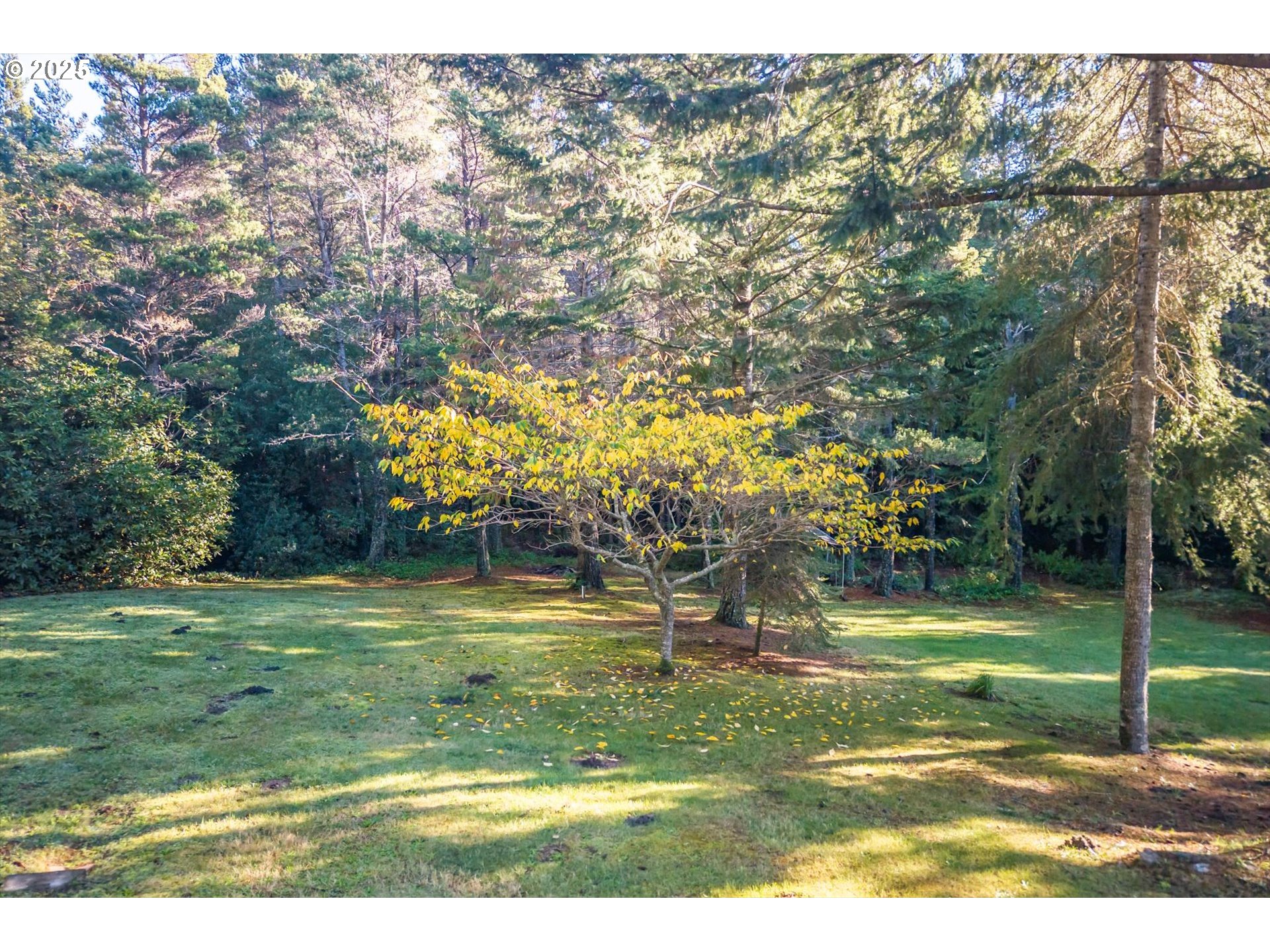 54177 Morrison Road Bandon, OR 97411 - Photo 41 of 47 a view of a park