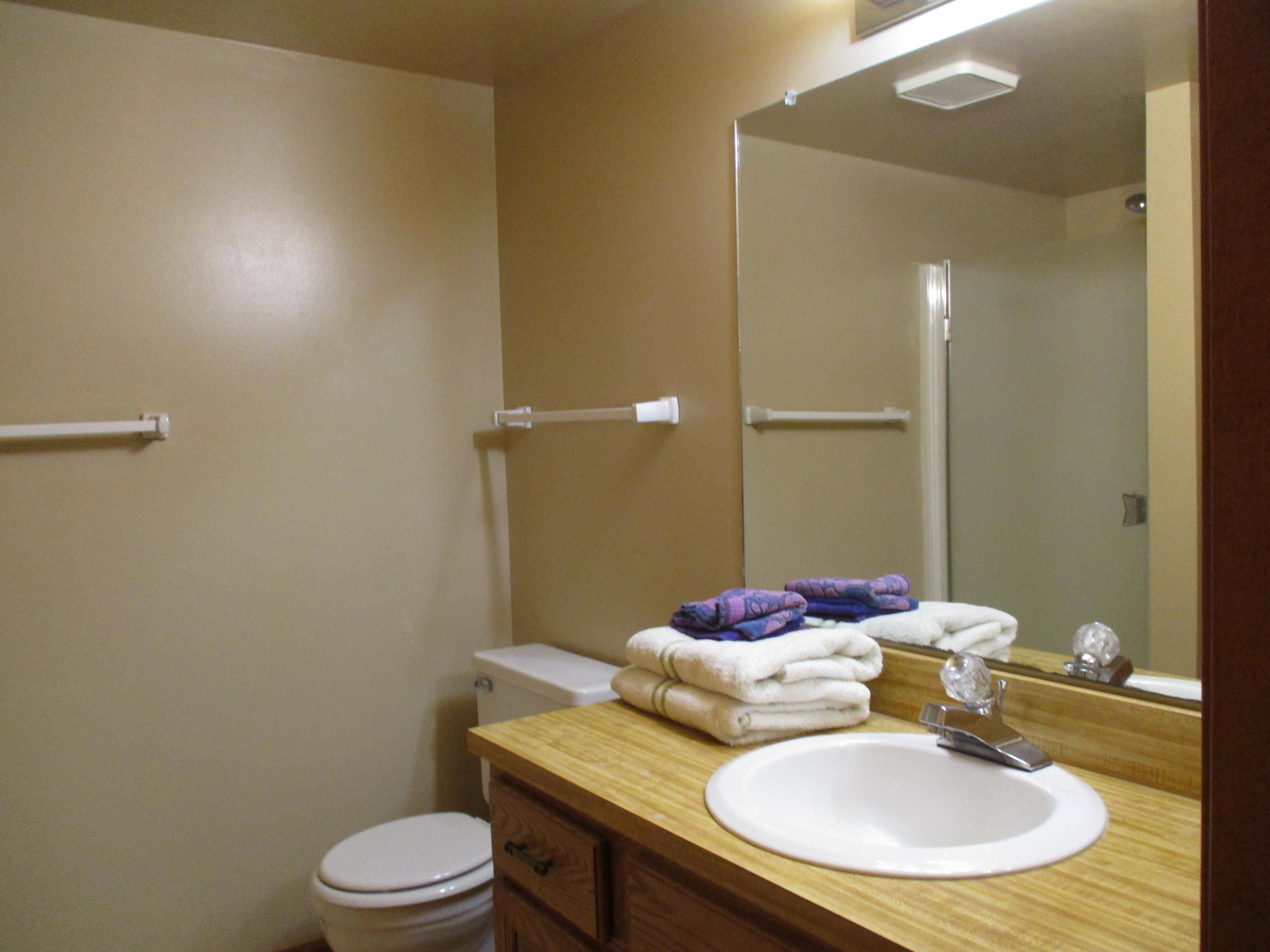 5166 Green Meadow Road, Unit 40 Kalamazoo, MI 49009 - Photo 11 of 19 IMG_0141