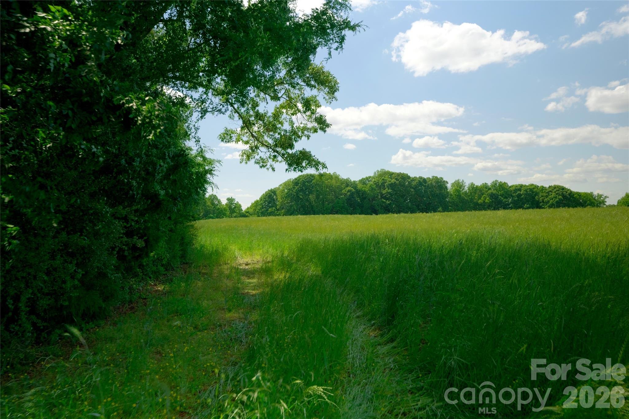 1 Powell Bridge Road, Unit 1 Harmony, NC 28634 - Photo 4 of 16
