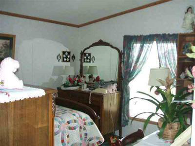 4793 Bancroft Road Durand, MI 48429 - Photo 9 of 11 20159628-8.JPG