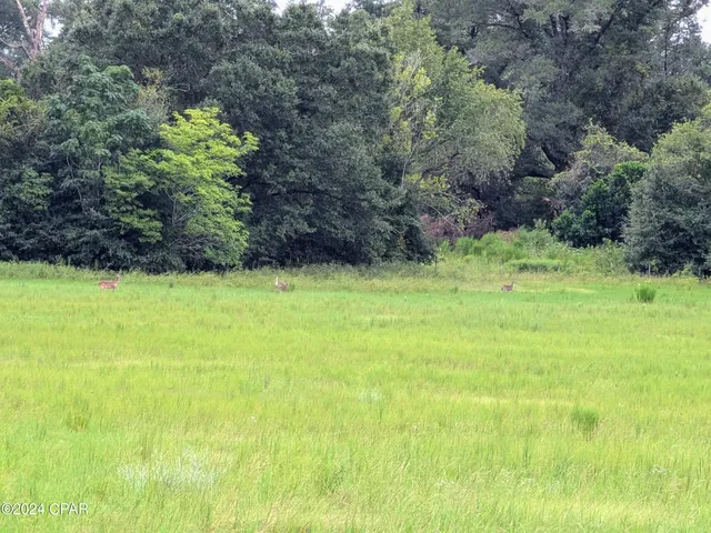 $564,000 | 5310 Chestnut Lane, Greenwood, FL 32443