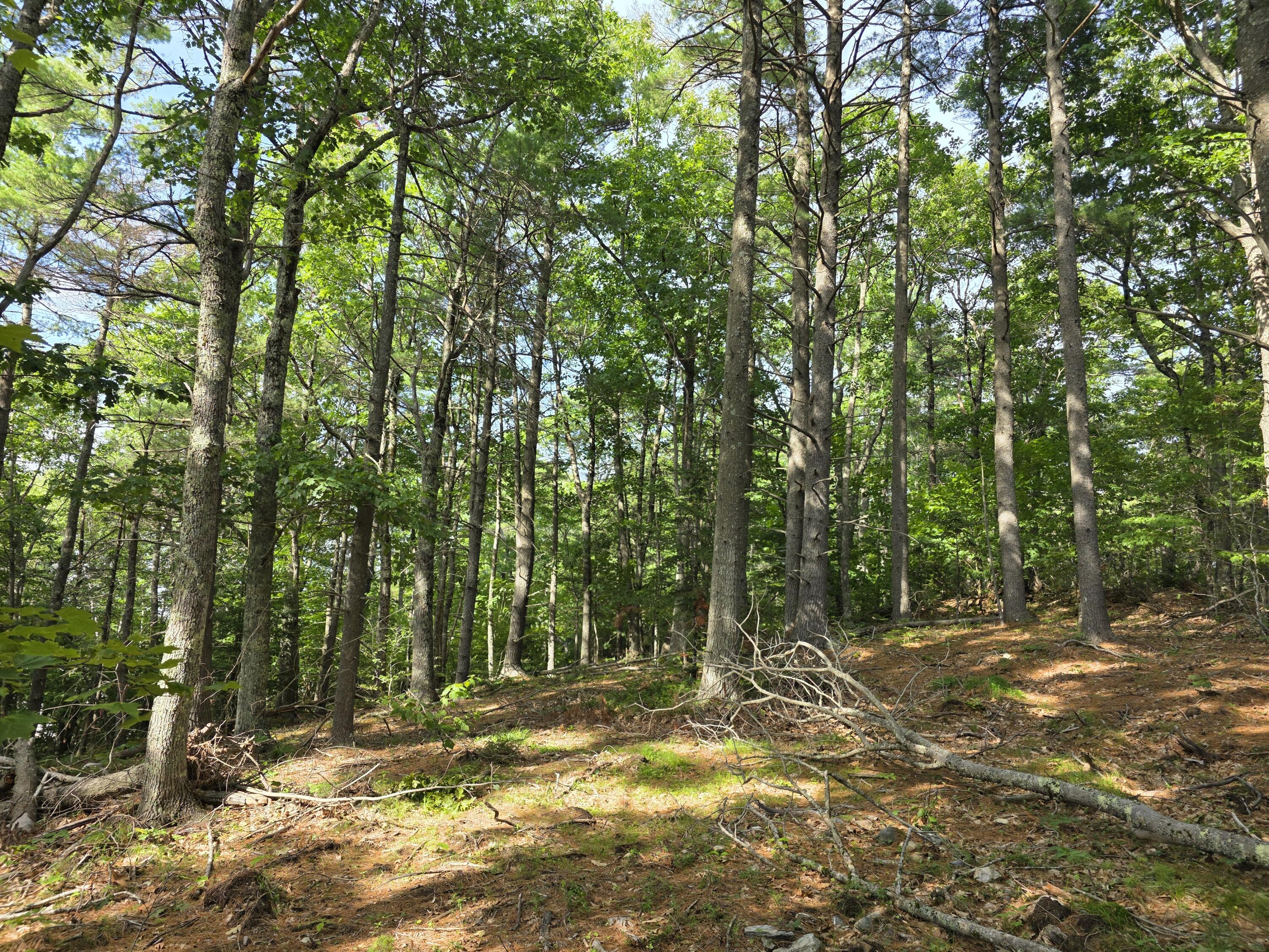 0 Pinnacle Road Liberty, ME 04949 - Photo 8 of 12