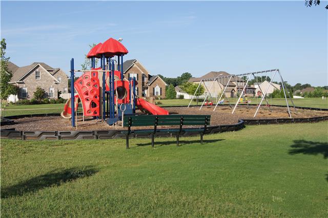 233 Savannah Ridge Murfreesboro, TN 37127 - Photo 18 of 20 Playground for the kids to have fun!