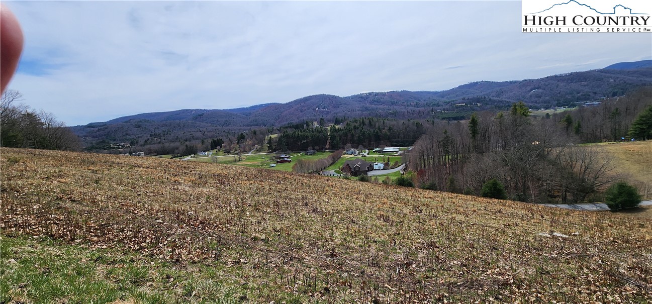 Hartley Knob Road Boone, NC 28607 - Photo 4 of 5 a view of a mountain with a garden