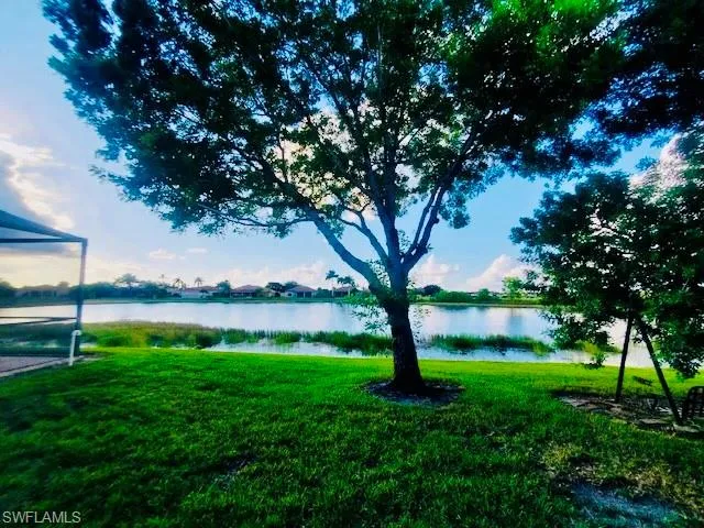 a view of green field with a tree