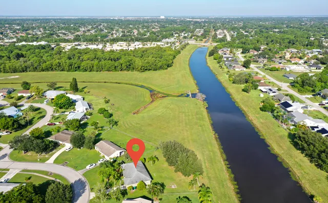 a view of a bunch of flowers