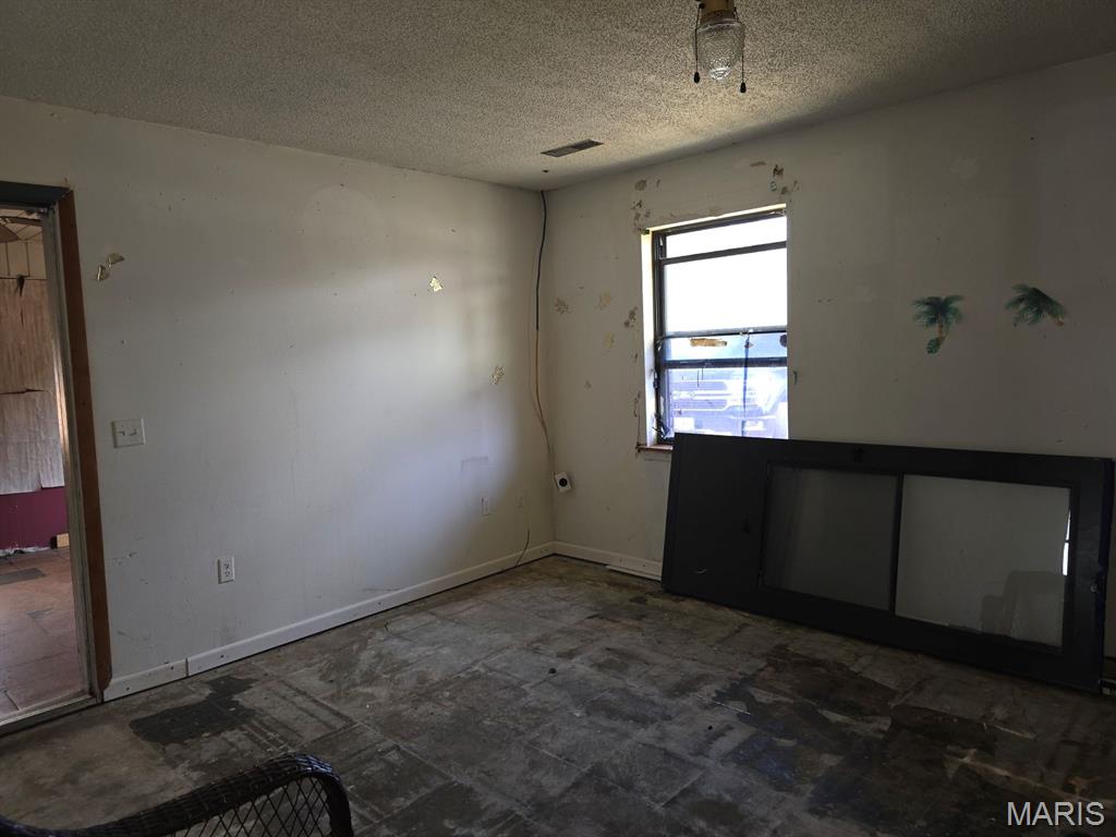 509 Baehr Road Lilbourn, MO 63862 - Photo 4 of 22