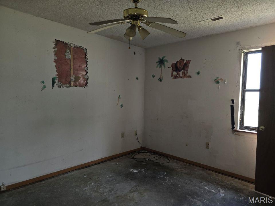 509 Baehr Road Lilbourn, MO 63862 - Photo 8 of 22