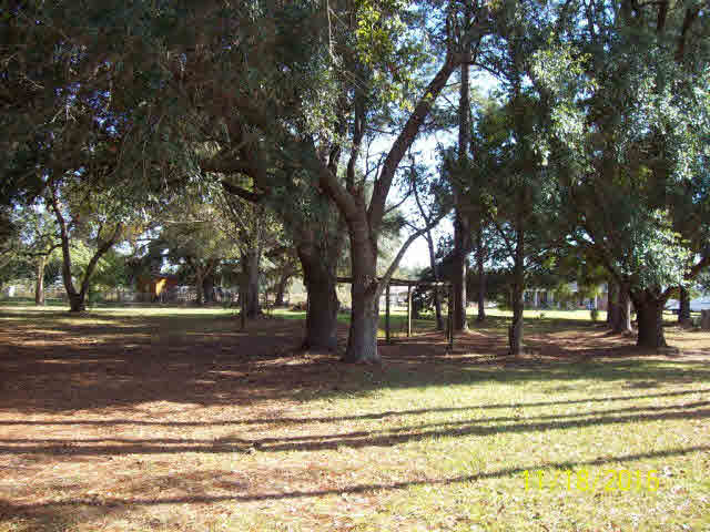 24276 County Road 20 Elberta, AL 36530 - Photo 3 of 12