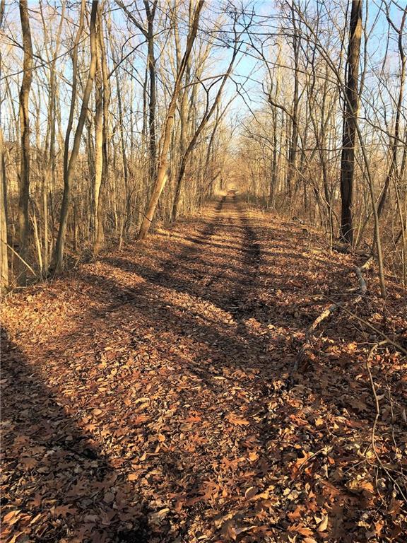 639 Pleasant View Road Coal City, IN 47427 - Photo 14 of 24