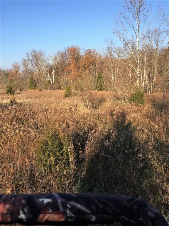 639 Pleasant View Road Coal City, IN 47427 - Photo 15 of 24