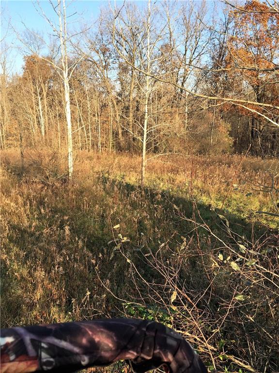 639 Pleasant View Road Coal City, IN 47427 - Photo 16 of 24