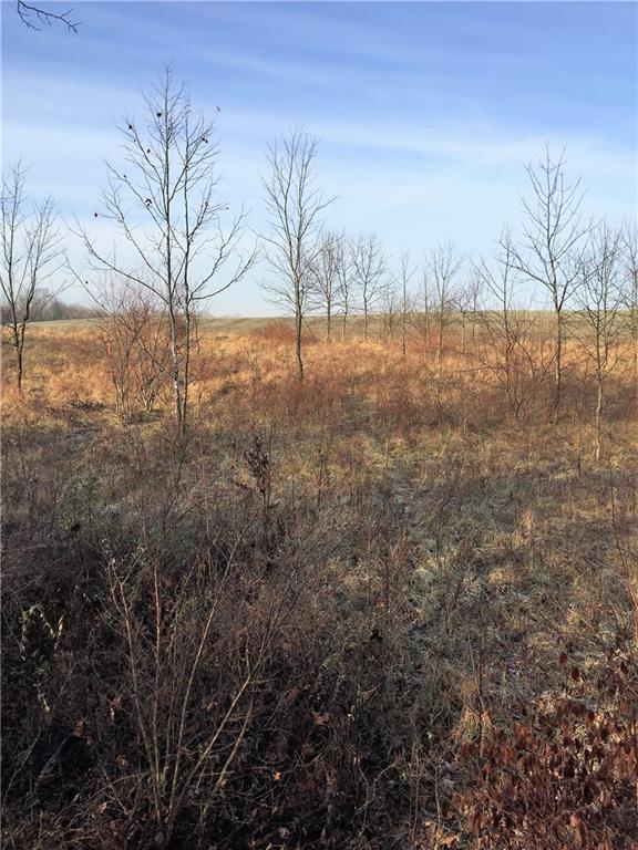 639 Pleasant View Road Coal City, IN 47427 - Photo 17 of 24