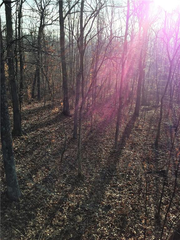639 Pleasant View Road Coal City, IN 47427 - Photo 18 of 24