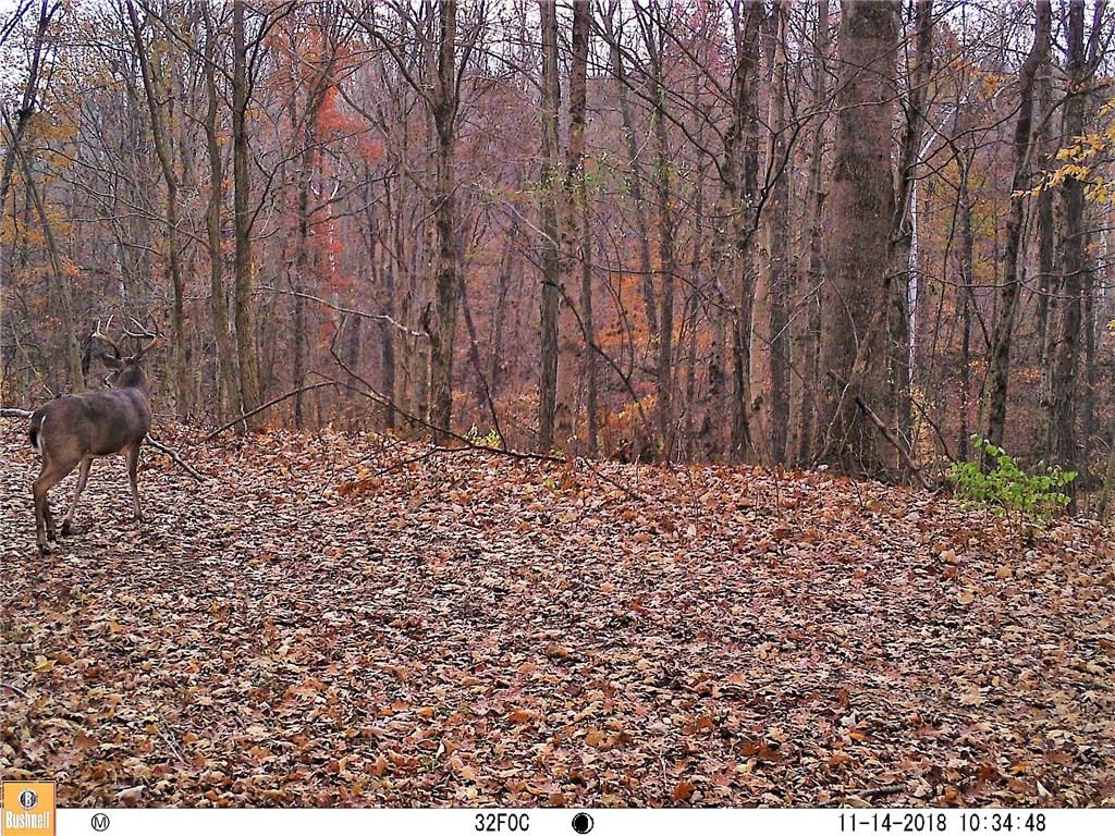 639 Pleasant View Road Coal City, IN 47427 - Photo 22 of 24