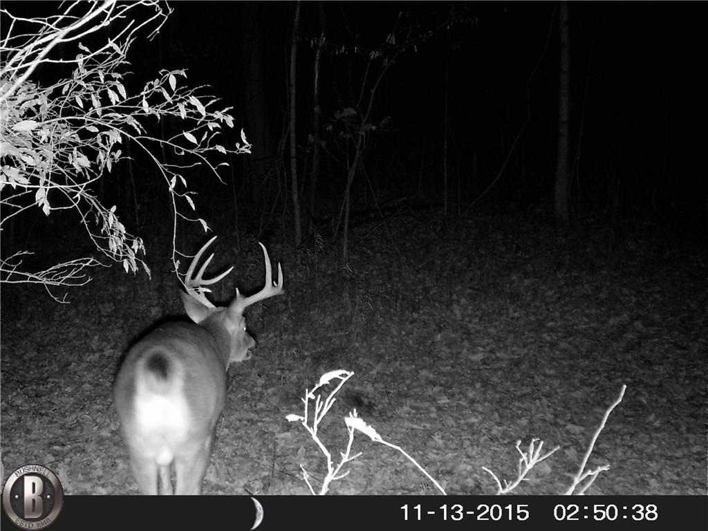 639 Pleasant View Road Coal City, IN 47427 - Photo 23 of 24
