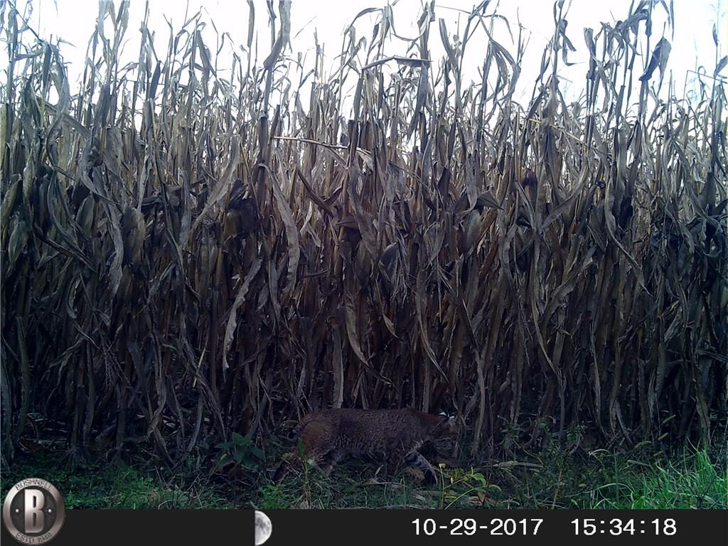 639 Pleasant View Road Coal City, IN 47427 - Photo 24 of 24