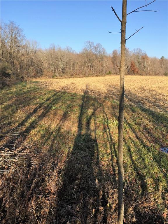 639 Pleasant View Road Coal City, IN 47427 - Photo 8 of 24