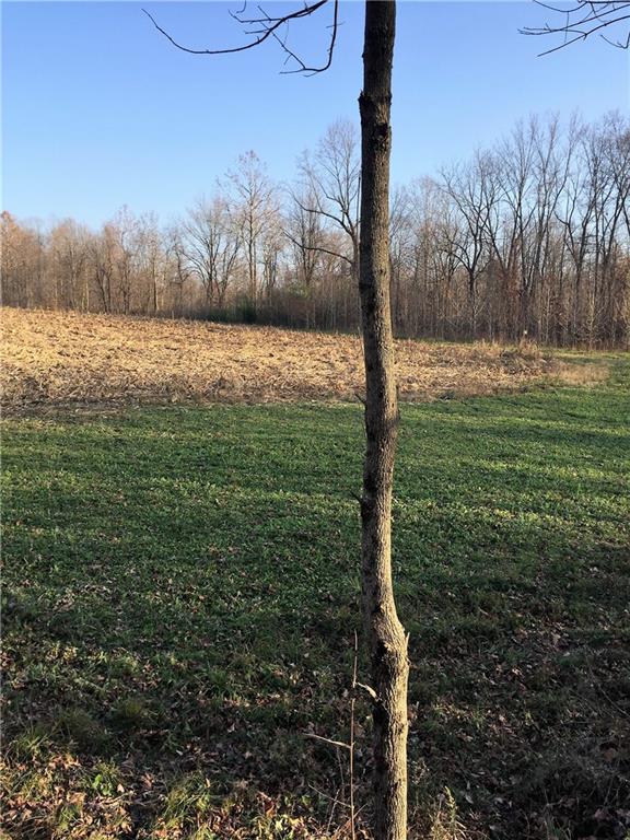 639 Pleasant View Road Coal City, IN 47427 - Photo 9 of 24