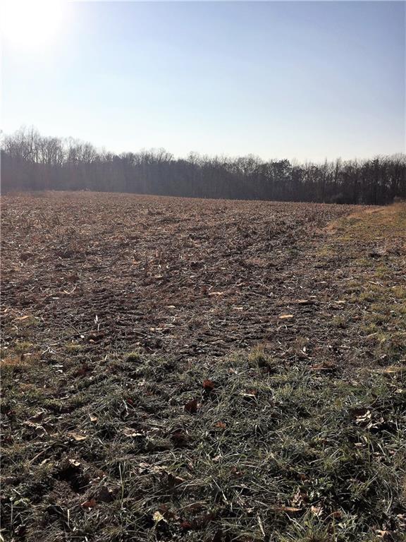 639 Pleasant View Road Coal City, IN 47427 - Photo 10 of 24
