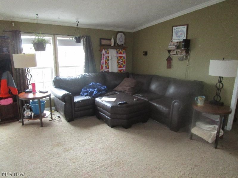 43695 Smith Road Wellington, OH 44090 - Photo 2 of 20 Gallery Image 2